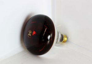 Red Infra-Red Bulb