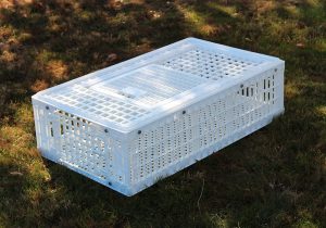 Low Cost Gamebird Coop