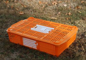 Quail Coop