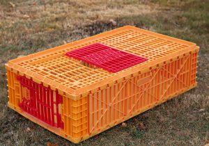 Fast-fill Gamebird Coop