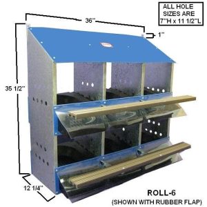 6-Hole Rollout Nest